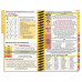 MDpocket® University of Southern California IM